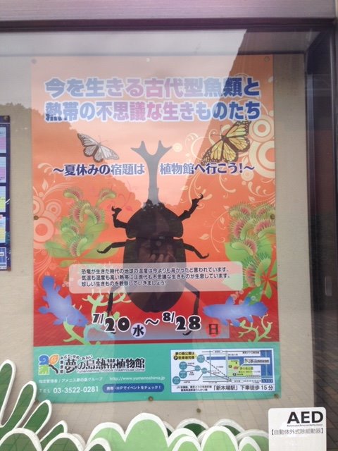 夢の島熱帯植物館展示即売会