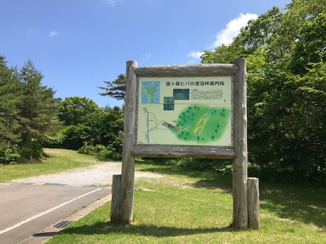 青森県八戸市・恐山方面自生地見学会