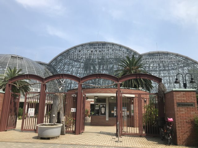 夢の島熱帯植物館展示・即売会
