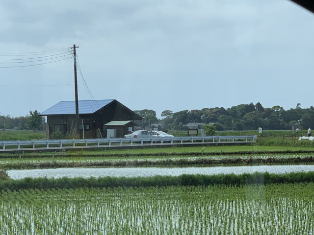 成東自生地見学会