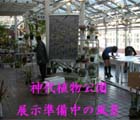 神代植物公園にて展示会・即売会