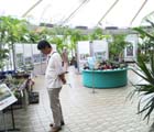 夢の島熱帯植物館での展示会