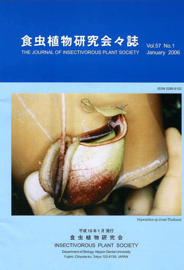 [�H���A��������