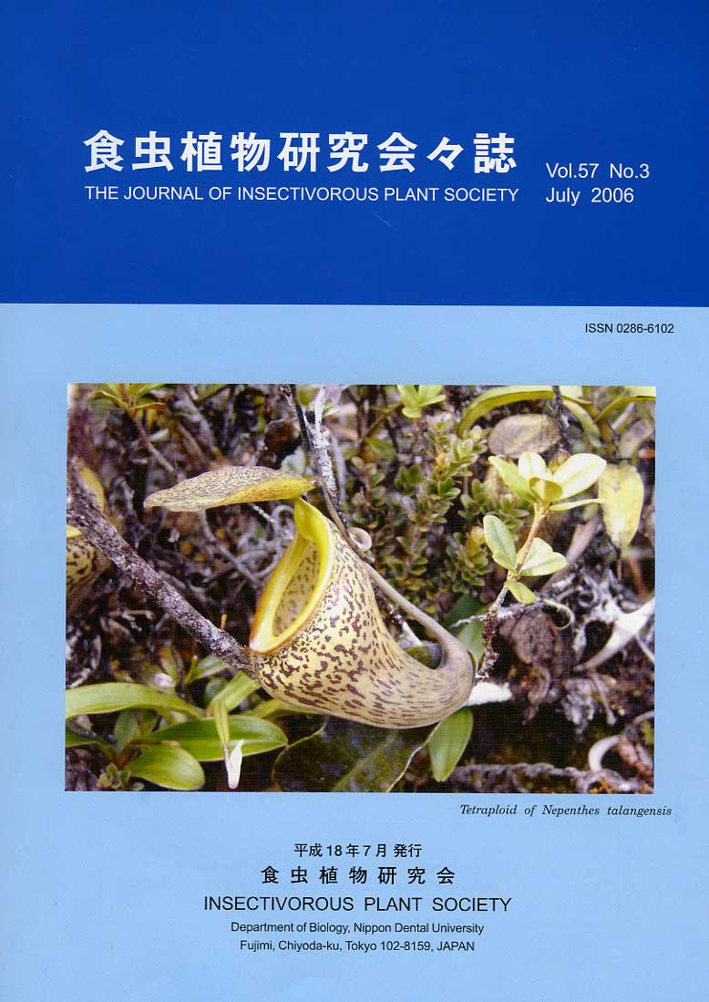 [�H���A��������