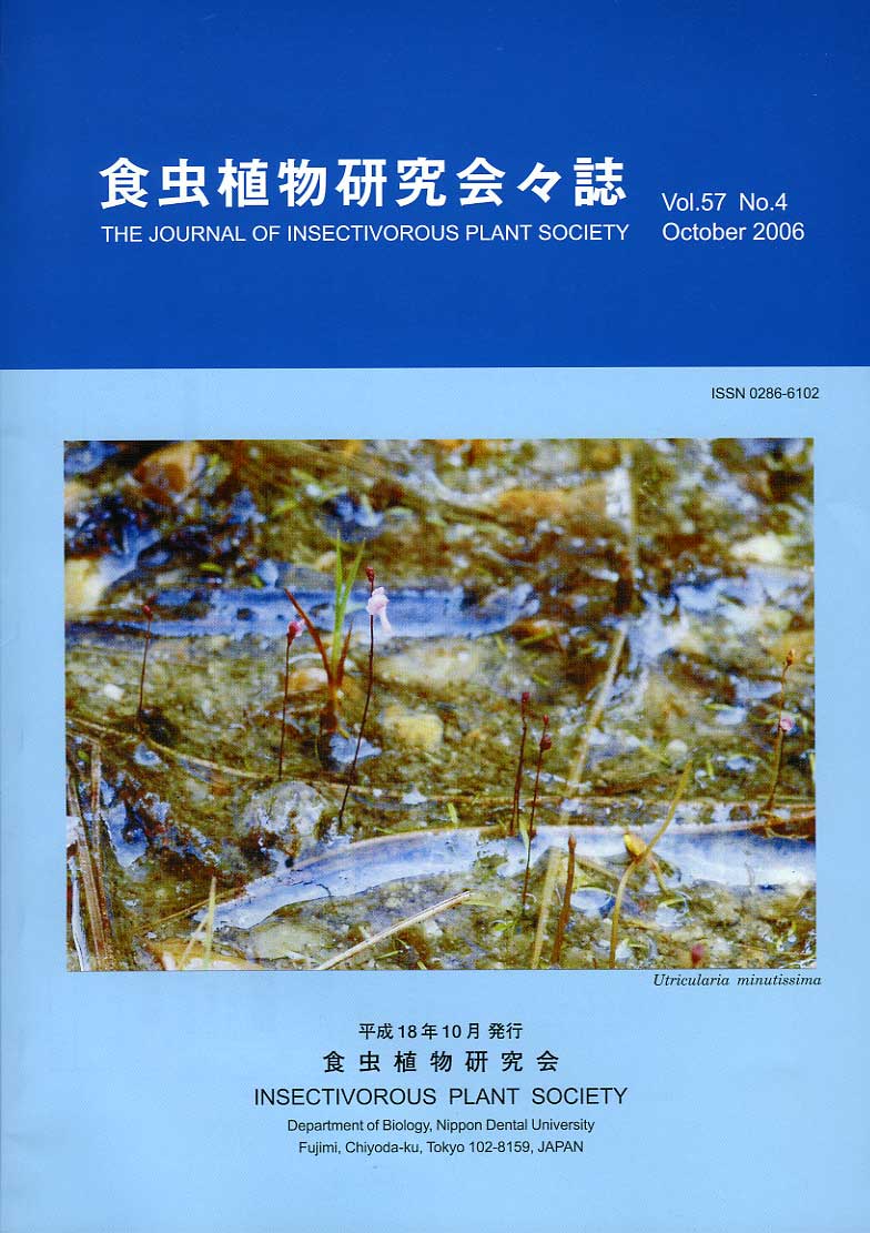 [�H���A��������