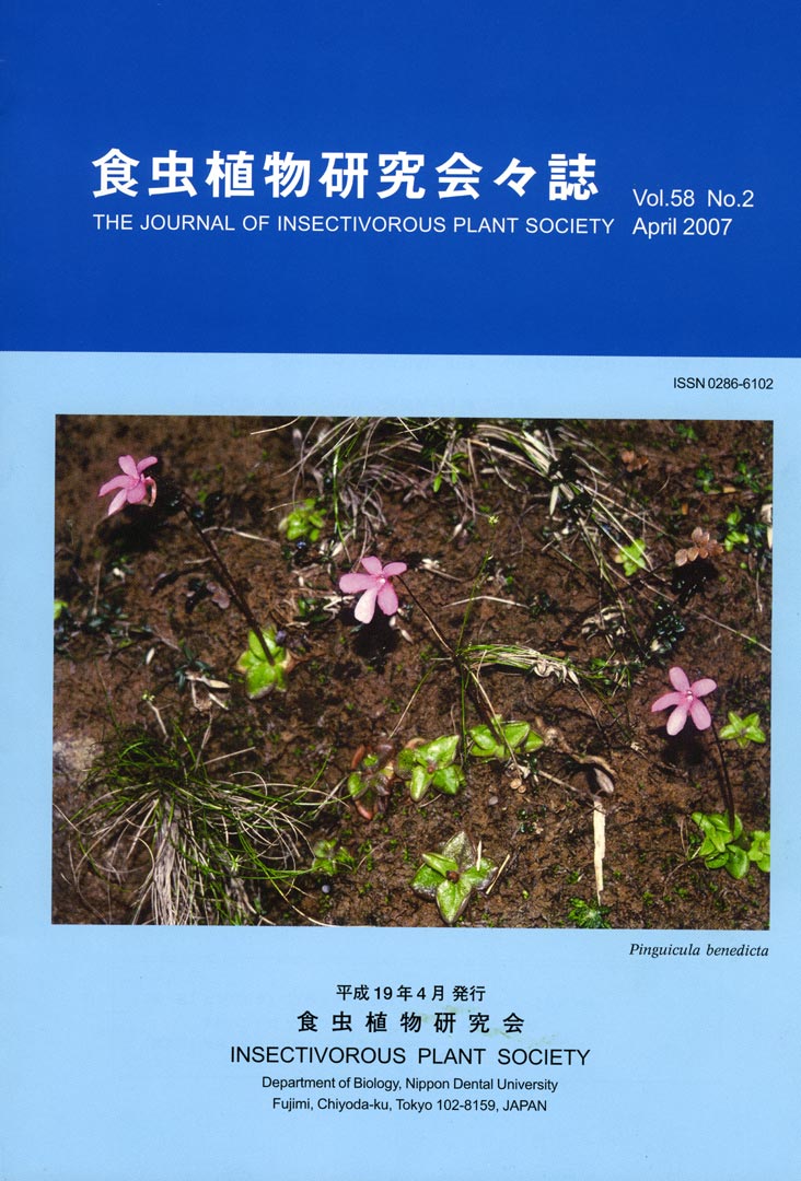 [�H���A��������