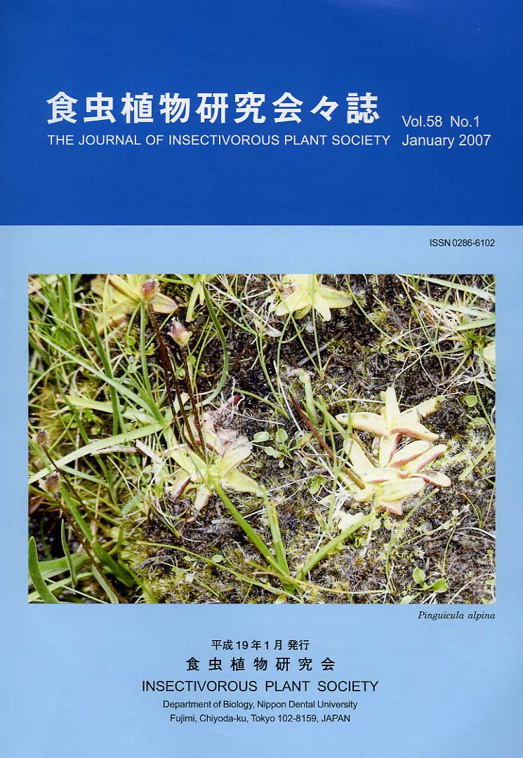 [�H���A��������