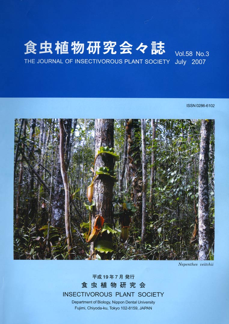 [�H���A��������