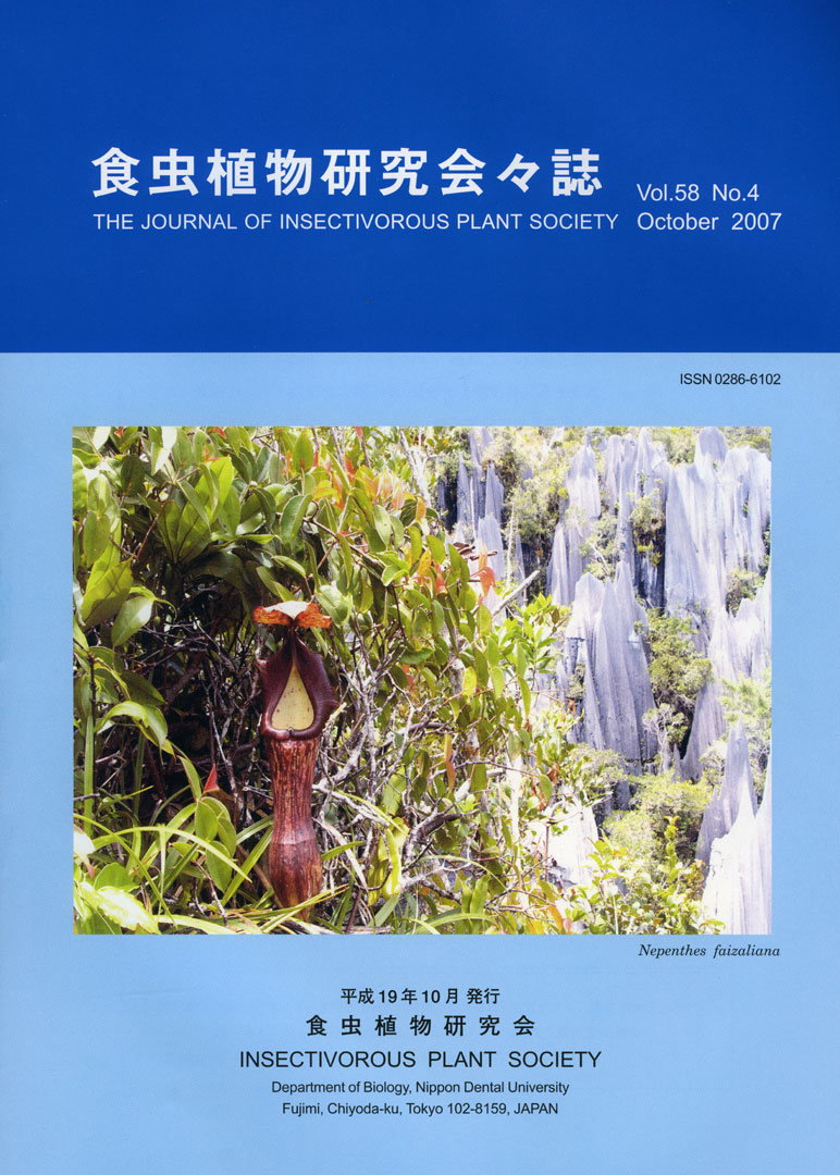 [�H���A��������