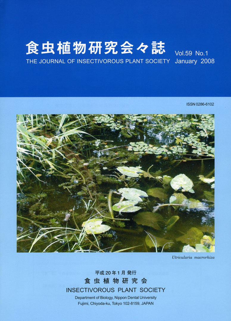 [�H���A��������