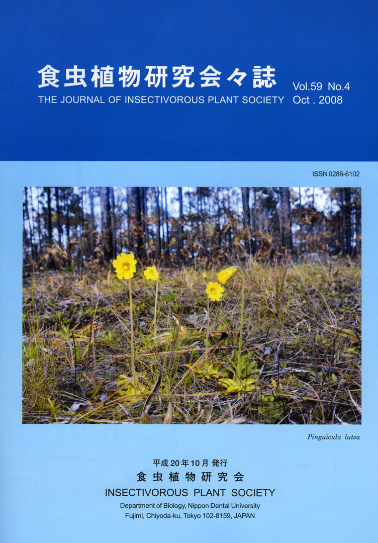 [�H���A��������