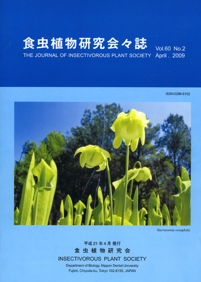 [�H���A��������