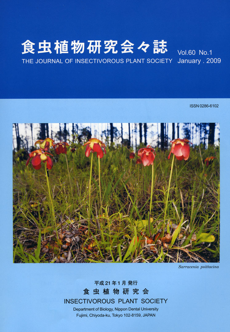 [�H���A��������