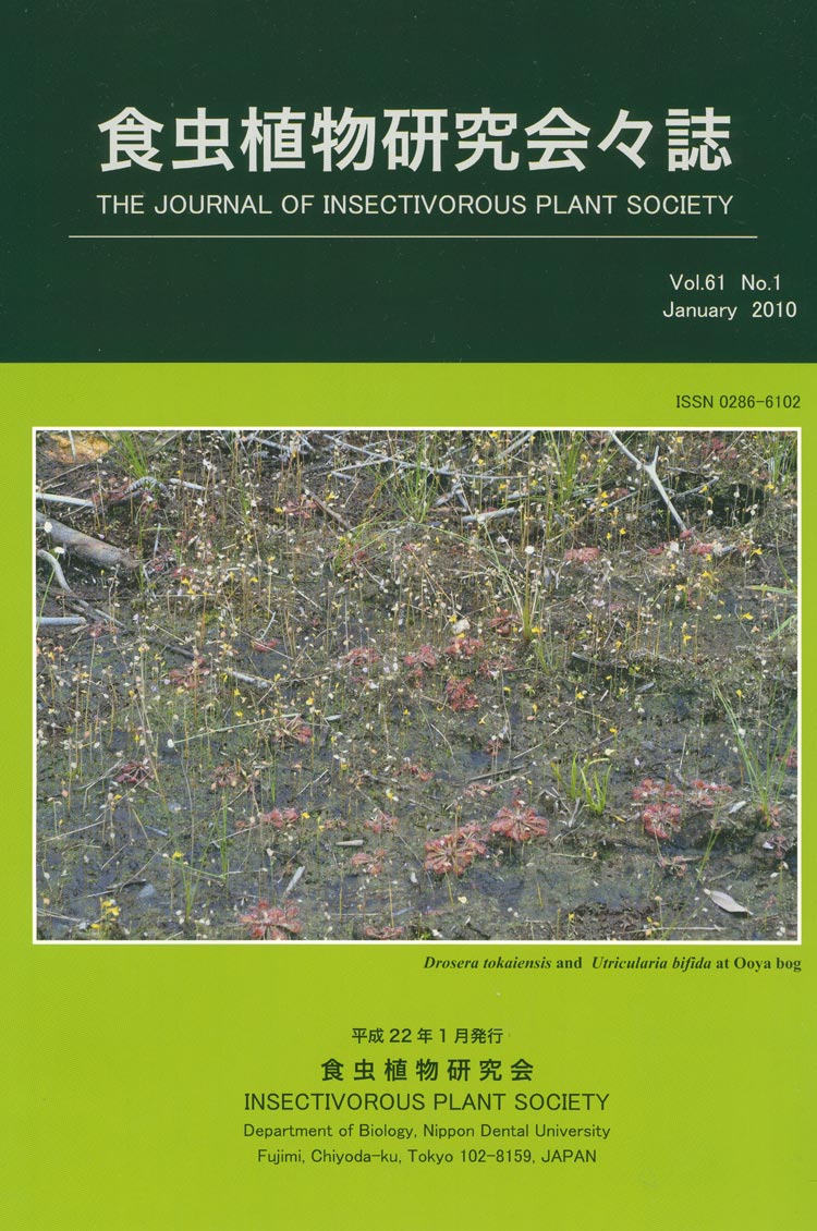 [�H���A��������