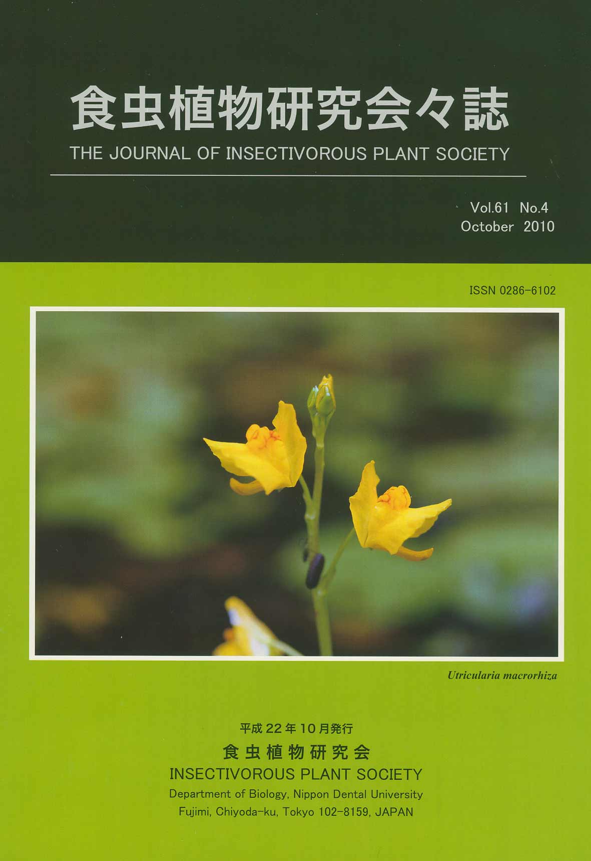 [�H���A��������