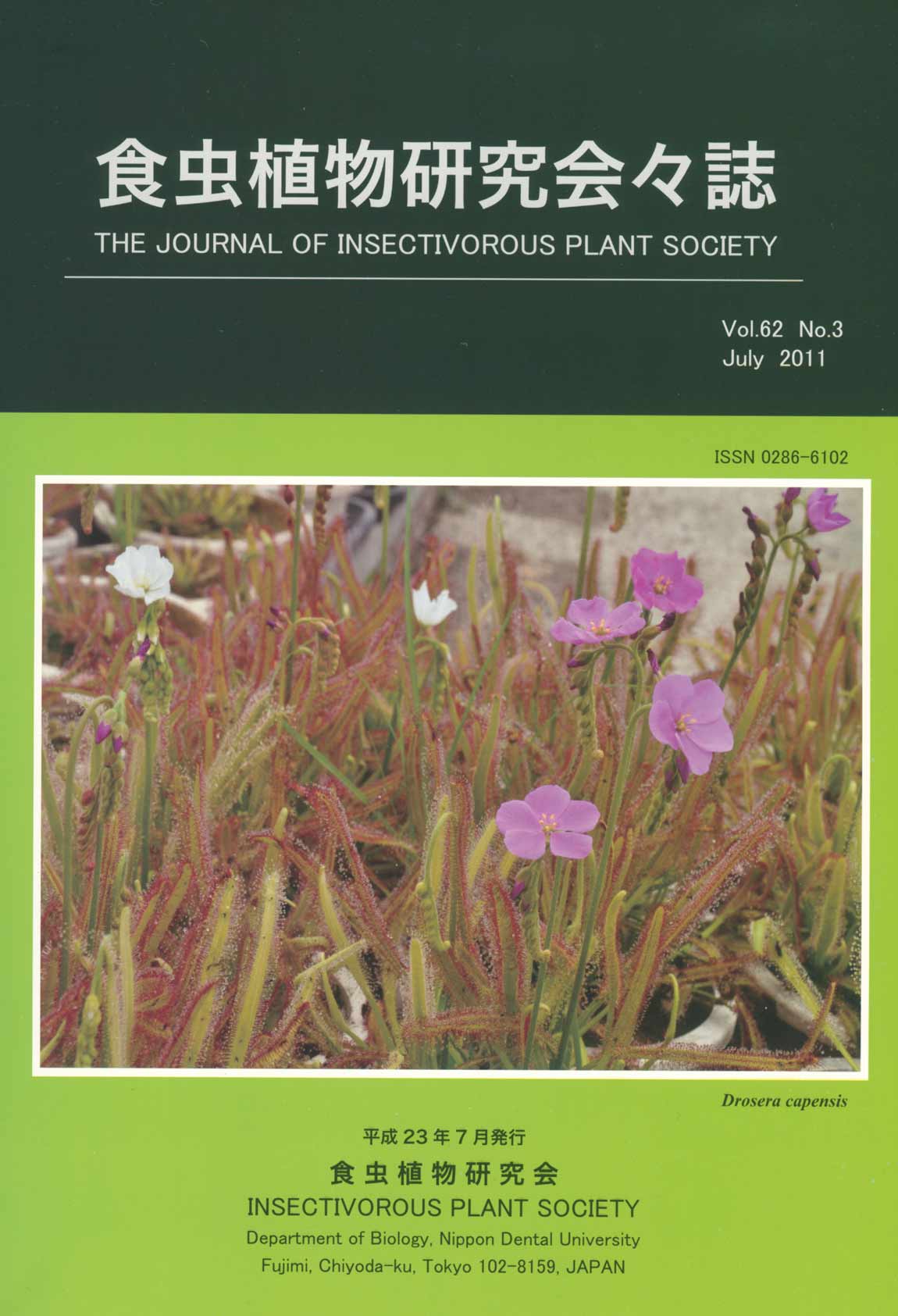 [�H���A��������