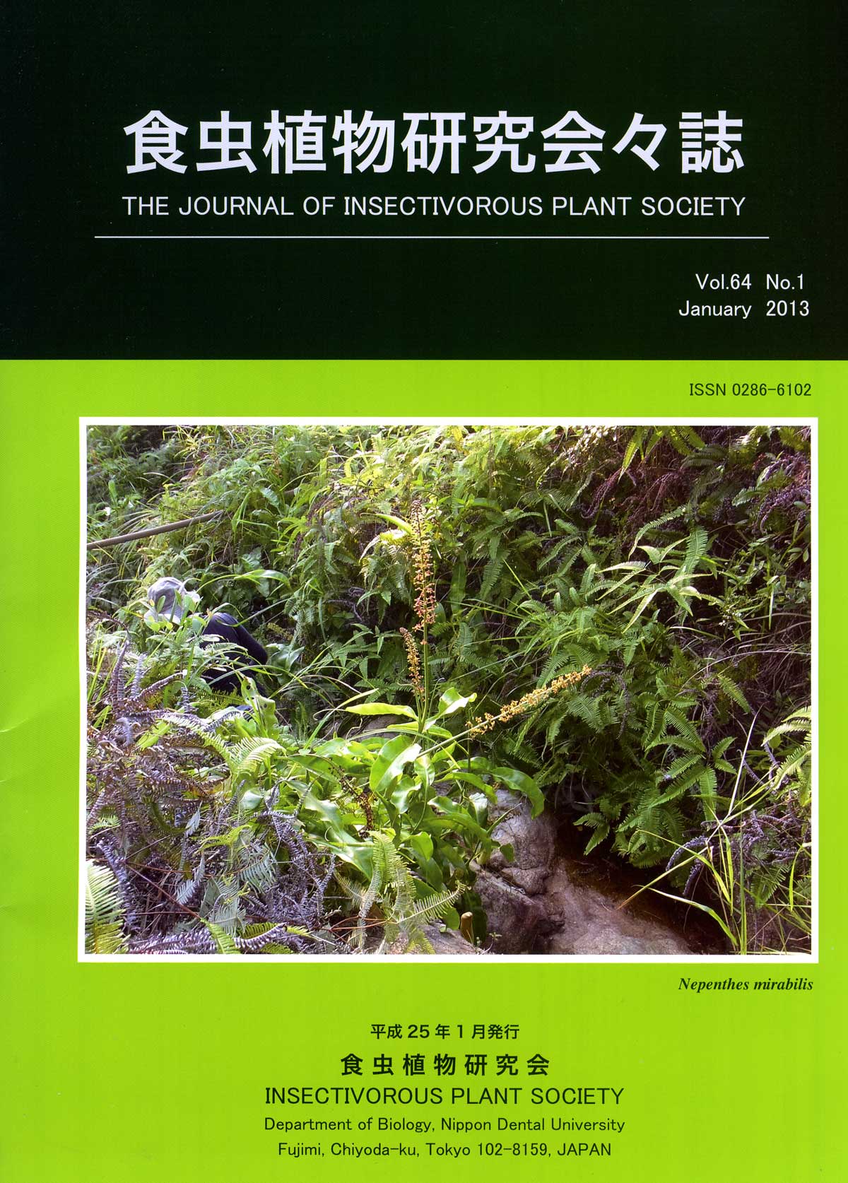 [�H���A��������