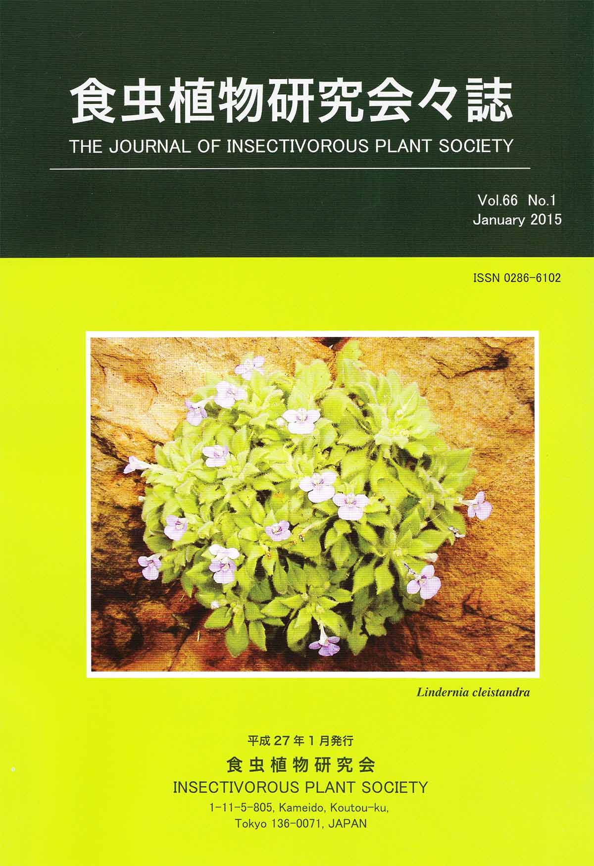 [�H���A��������