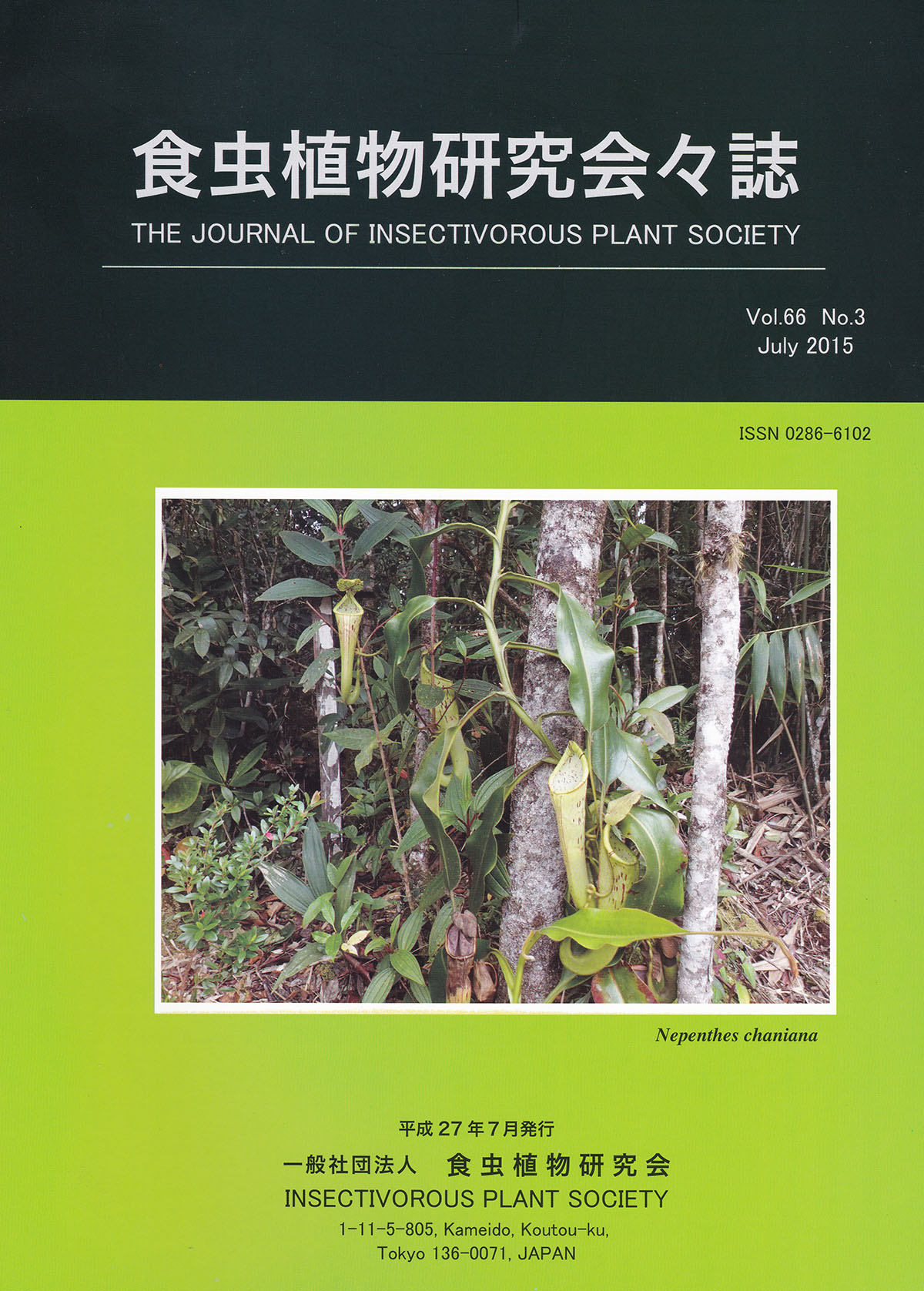 [�H���A��������