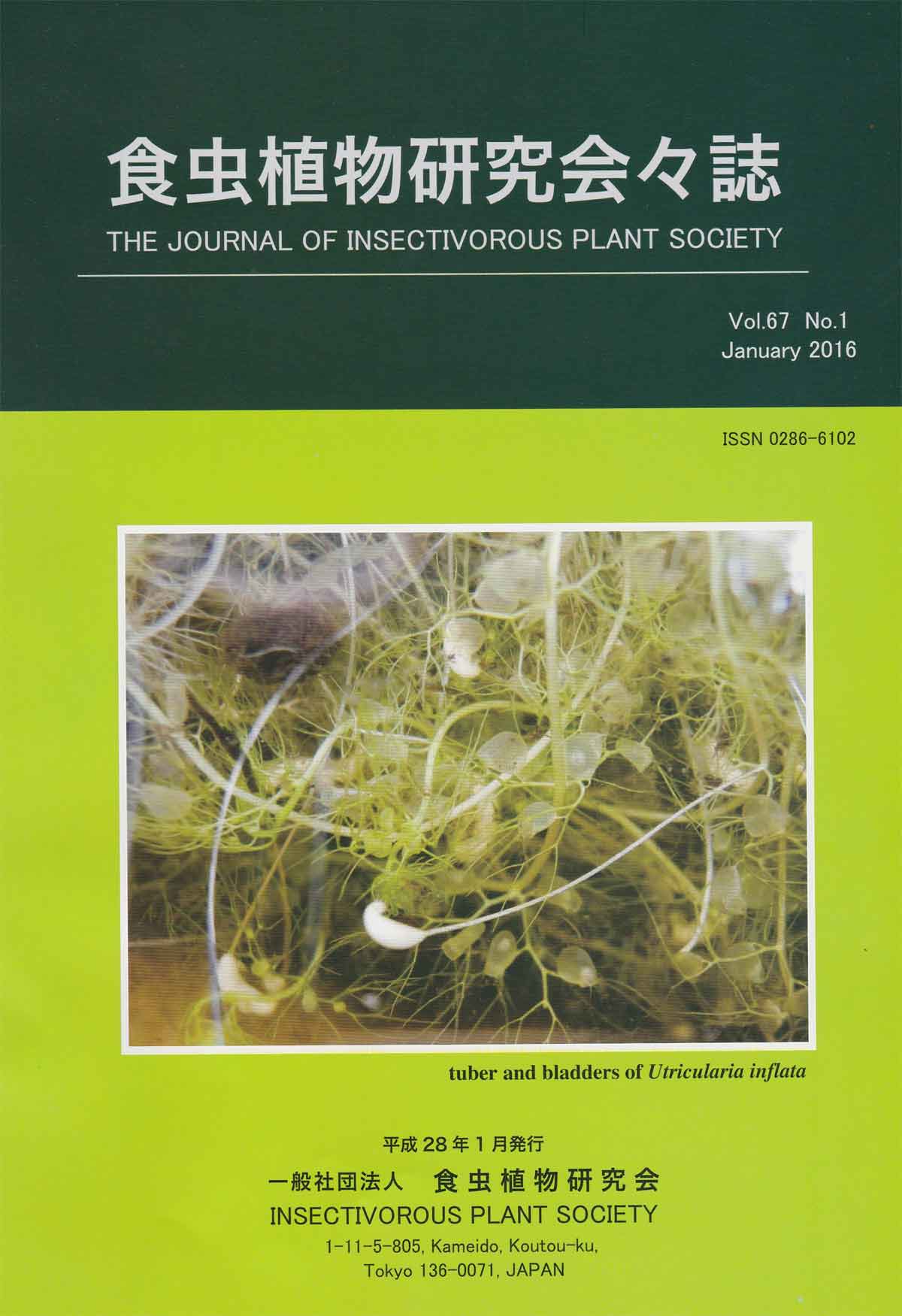 [�H���A��������