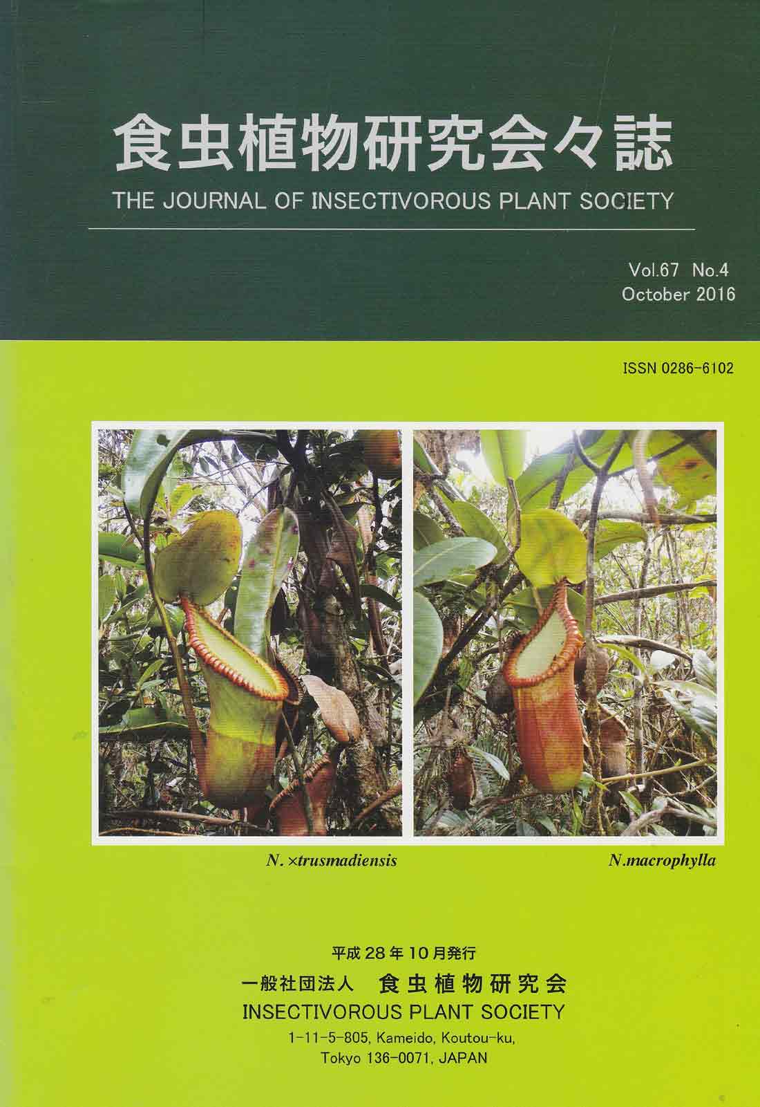 [�H���A��������